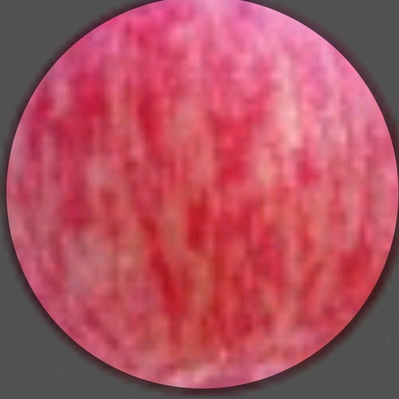 用户3213899788154