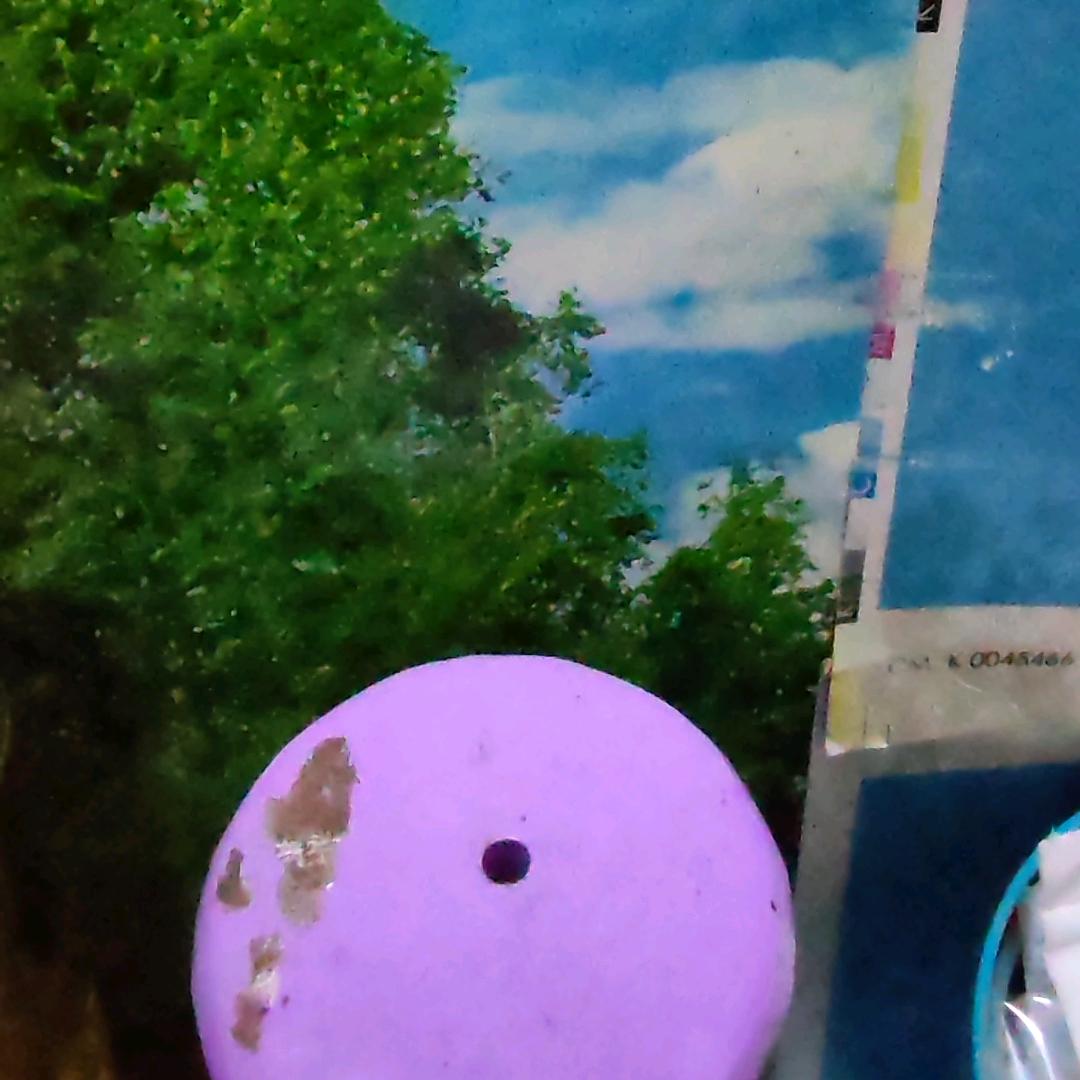 幸福阳光，活跃大方