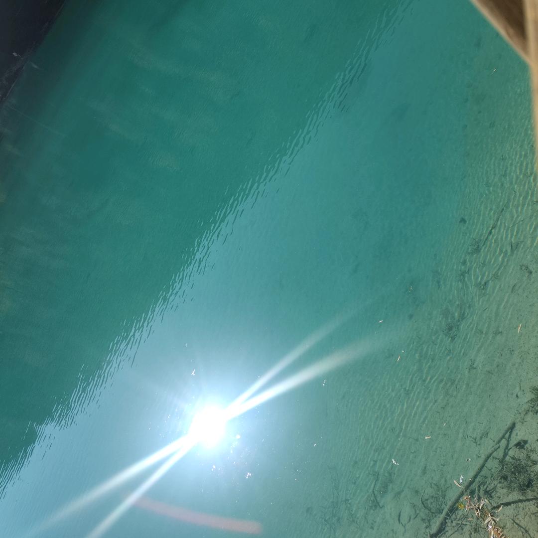 刘海霞