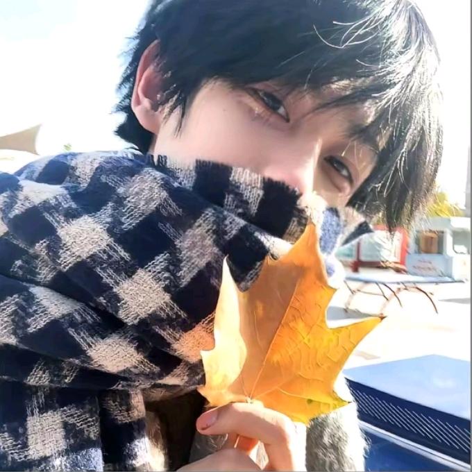 温洋葱