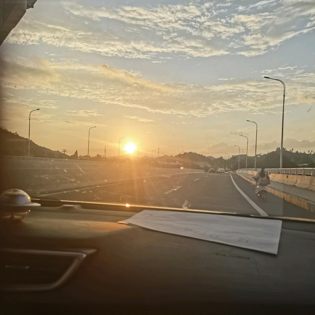 药用冻条龙衣鸡鸭胎毛购销