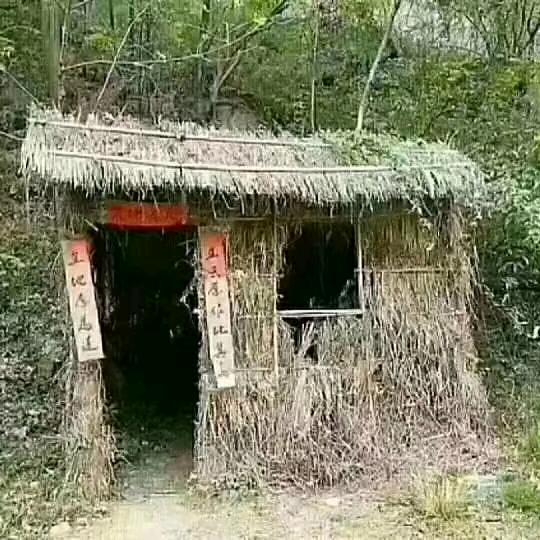 摸不得