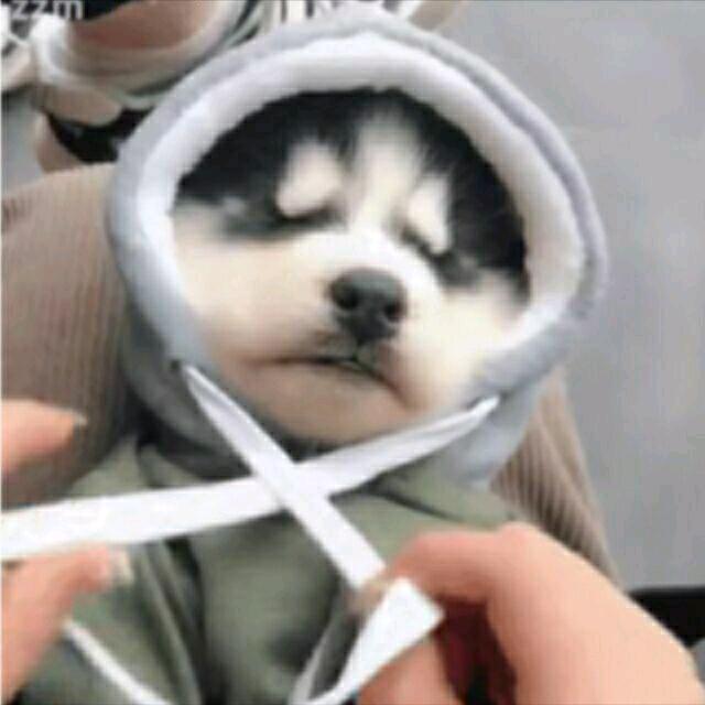 为美女两肋插刀却被美女当变态扇飞