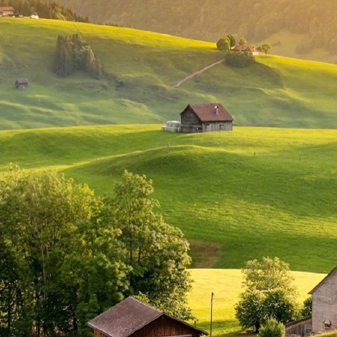 往后余生都是你