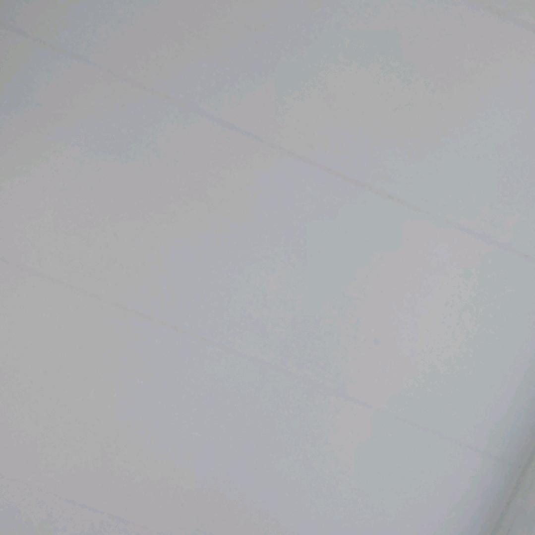 小张和它的昆虫