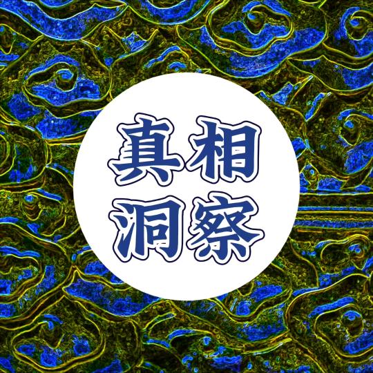 真相洞察