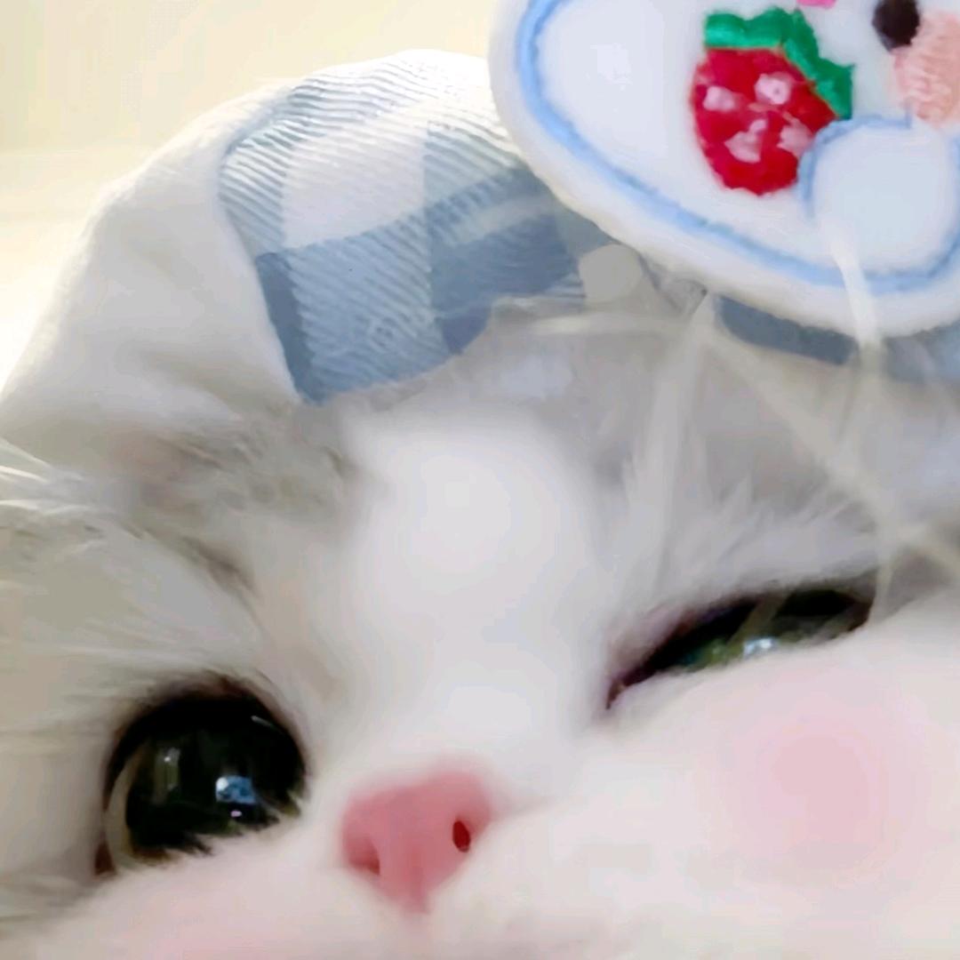 不爱说话美女一枚