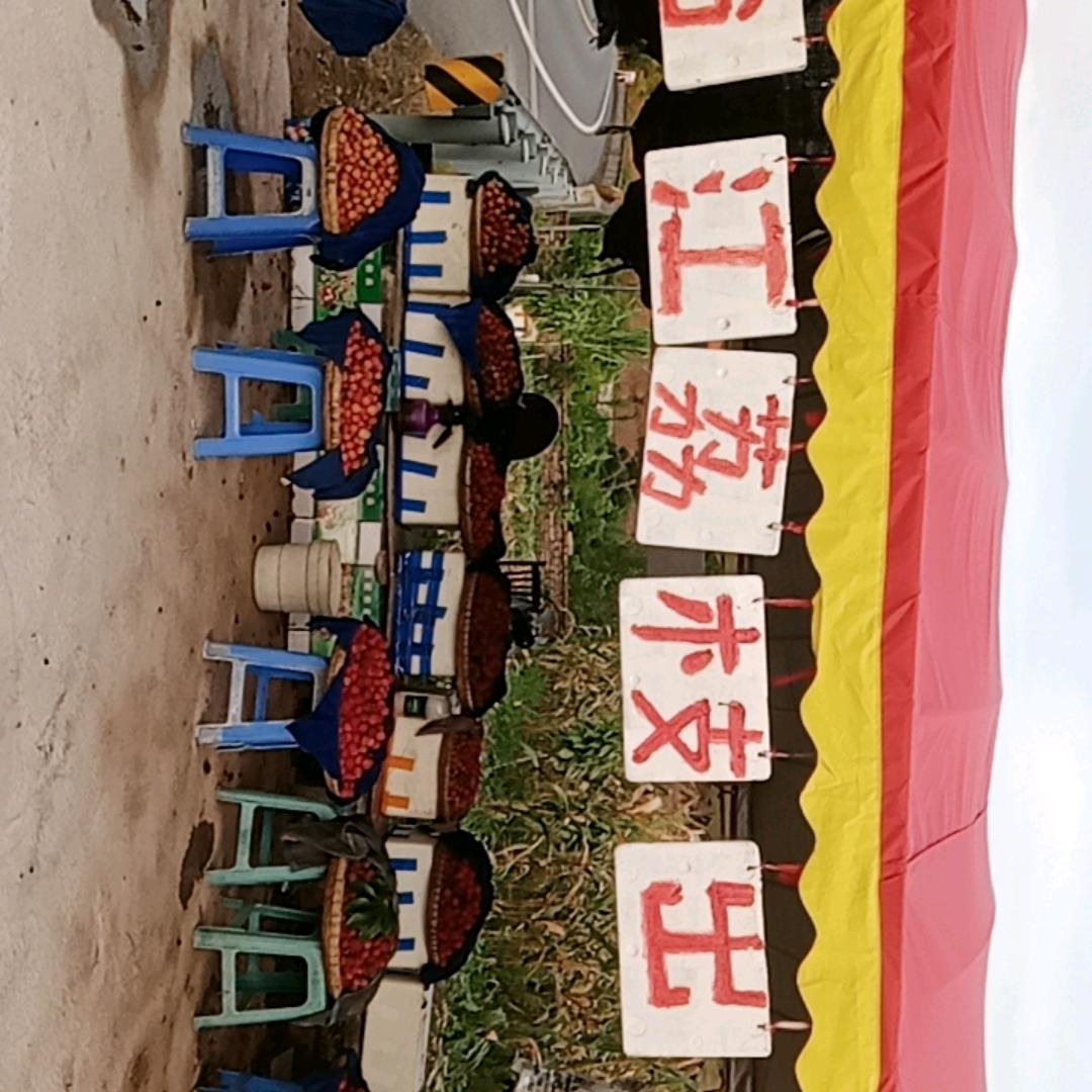 泸州市桂圆基地