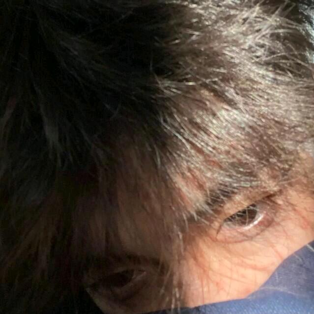 狄敢敢