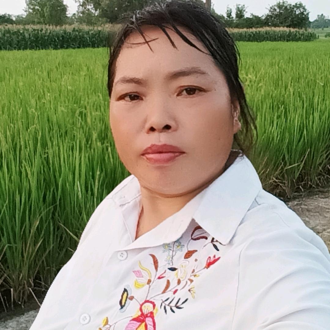 云南会姐2🎤早5点