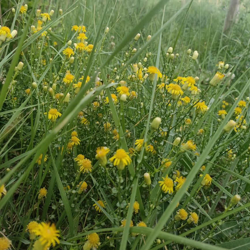 麻绳专挑细处断，厄运专挑苦命人