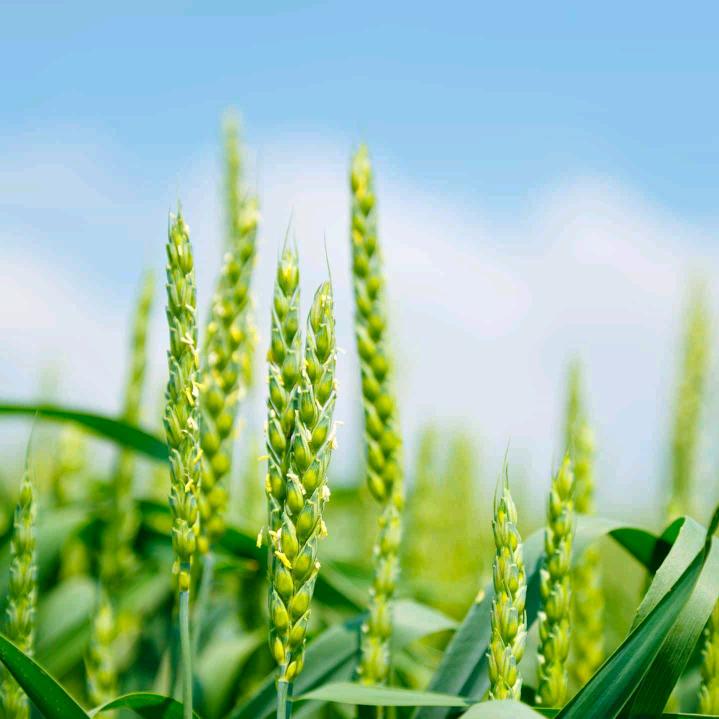 001⃣8⃣1⃣2⃣1⃣337804