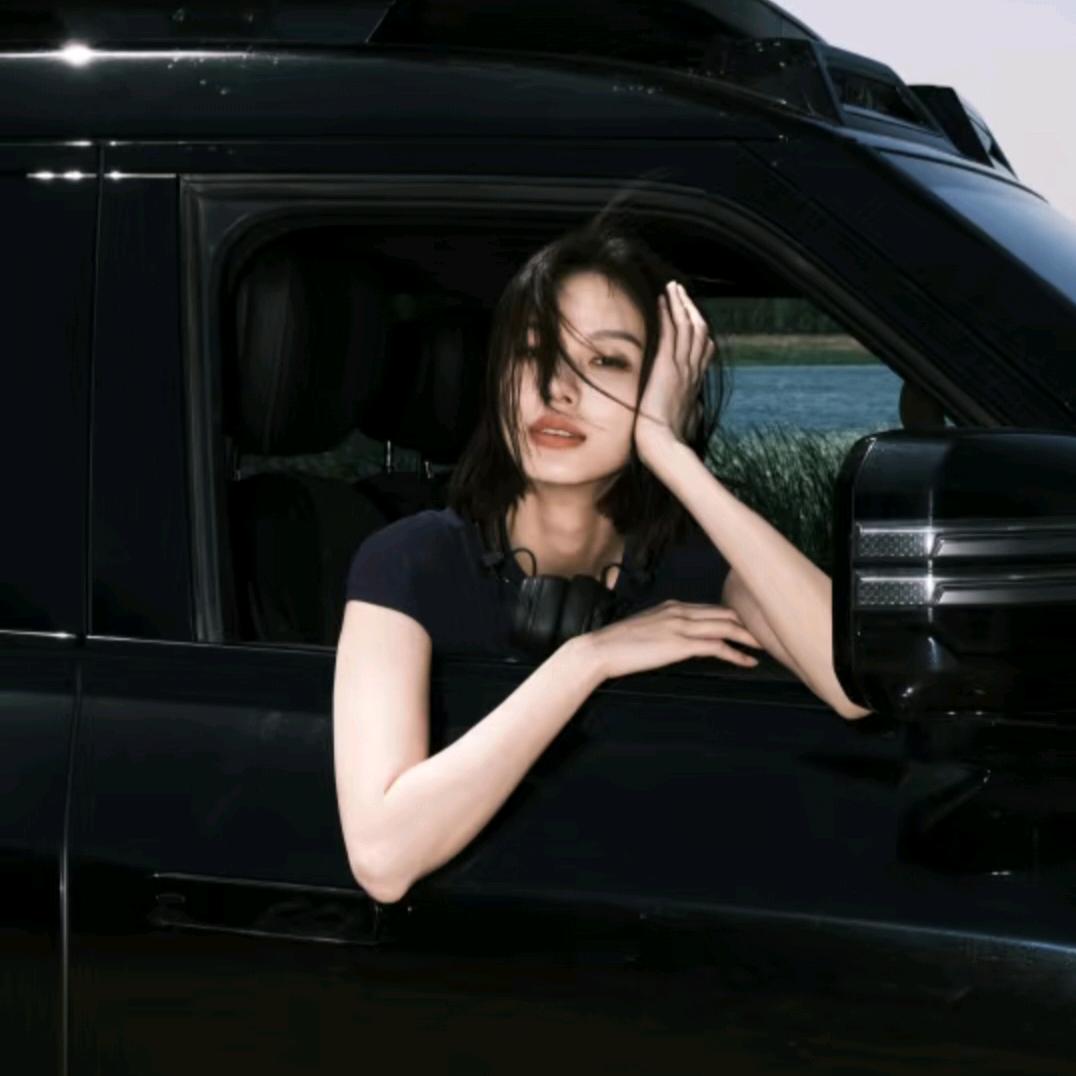 副驾驶的倾听者🚗🐾