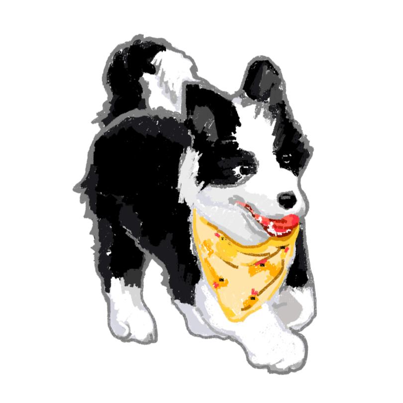 俺家有仨狗🎱🐾