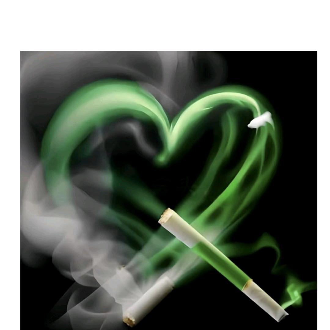 💞᭄᪲ᩚ꯭ᩚ别动情💞᭄᪲ᩚ꯭ᩚ会伤心