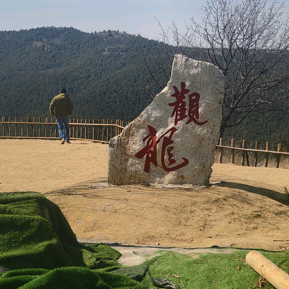 不在服务“屈”