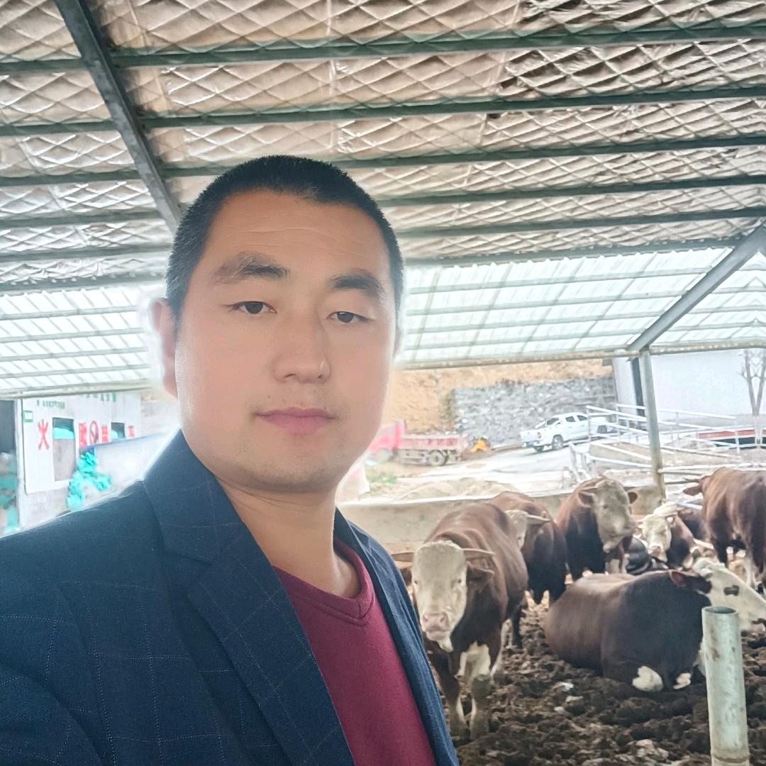 张龙买牛羊