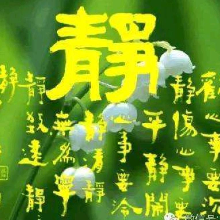 赵英