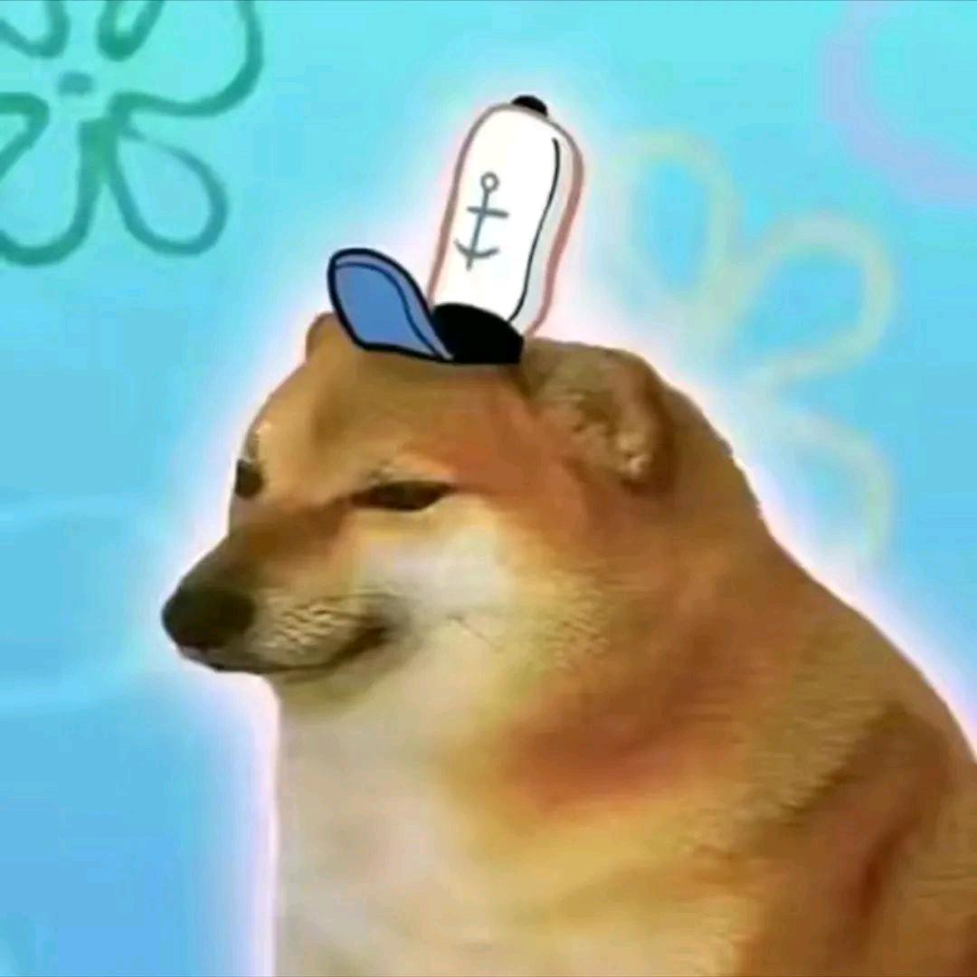 不会拍照的lzy📷