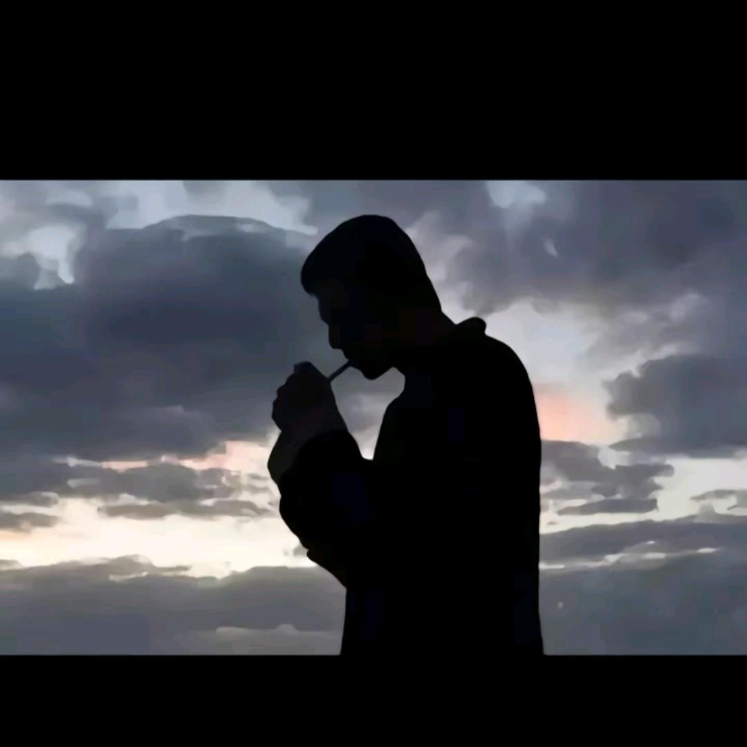 双龙莲篷龙虾釆摘园