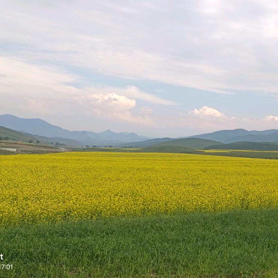 އ₅₅💃     🦹