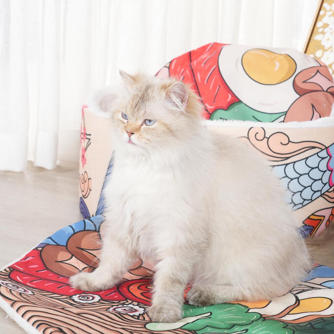 团团是只爱吃喵