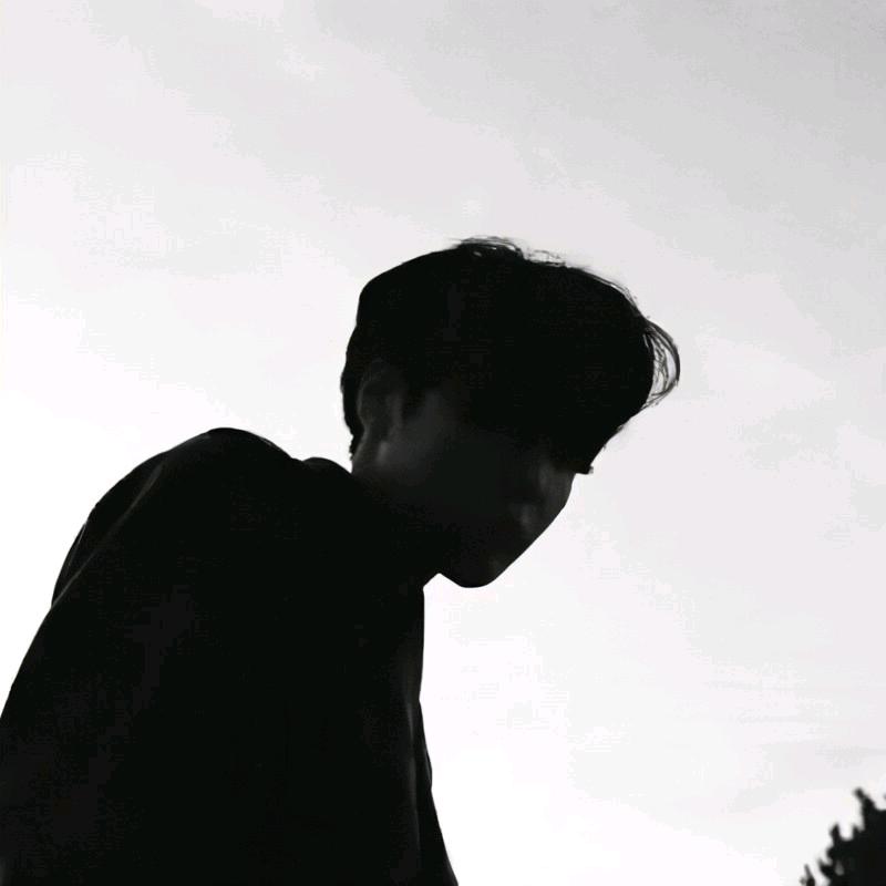随风而去.