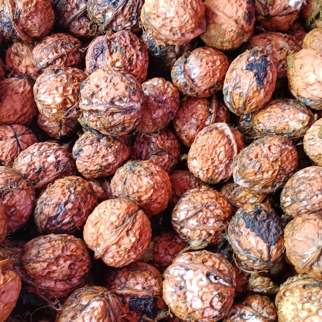 乡村农产品果蔬