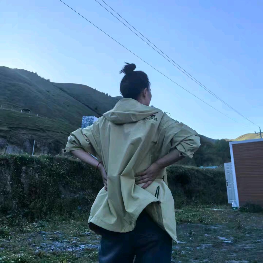 番茄你个西红柿