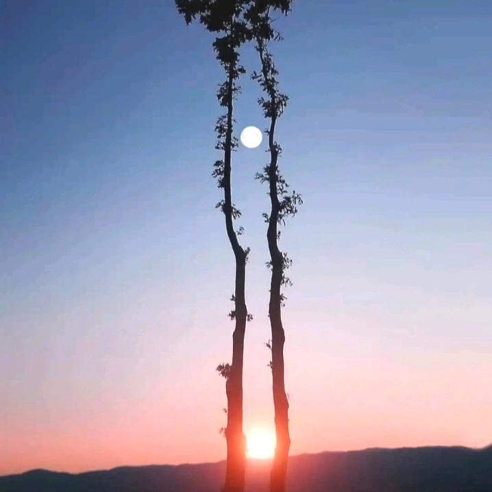 林默