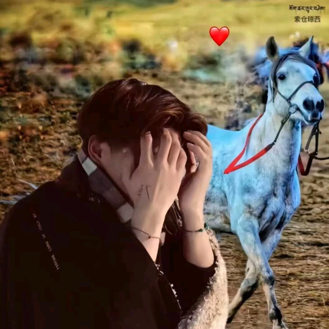 ꧁꫞扎🎶西꧂