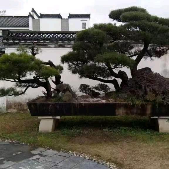 盛长丰