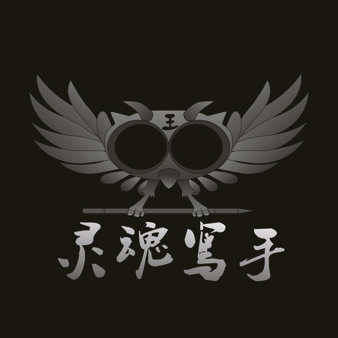 灵魂写手