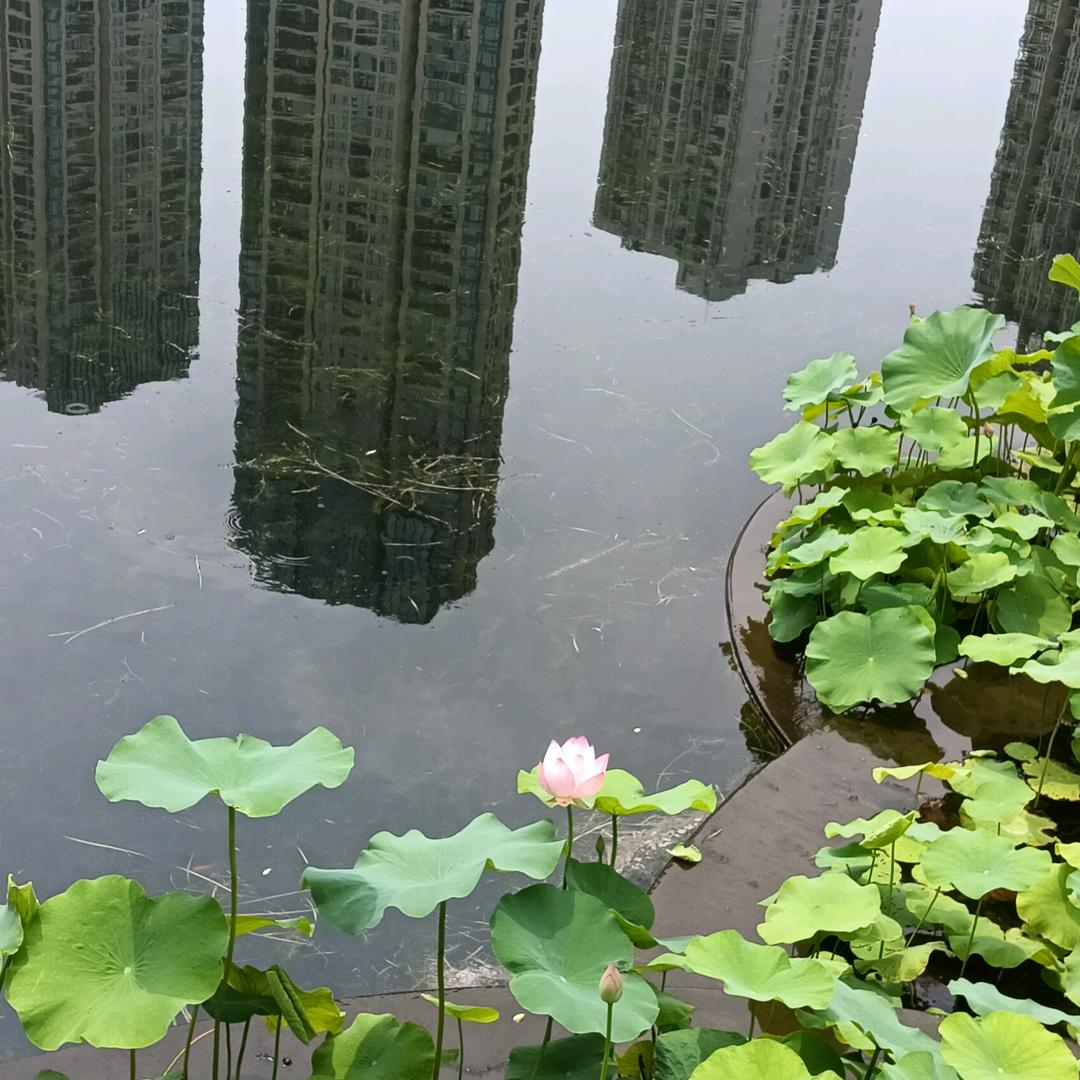 现实很残酷