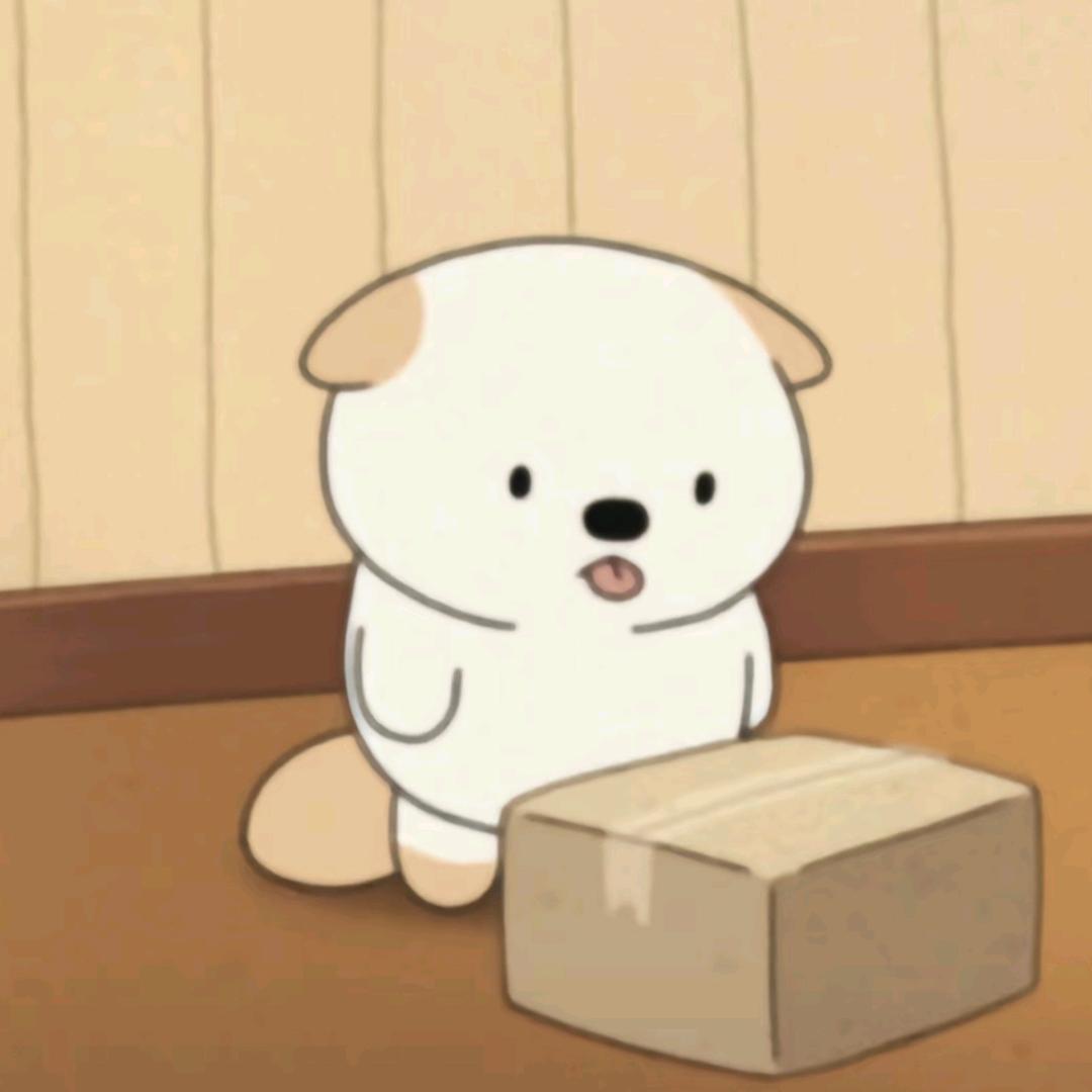 夜晚下的小凡
