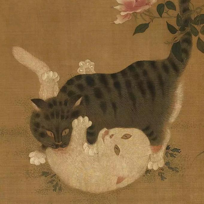 @@招财猫a头像