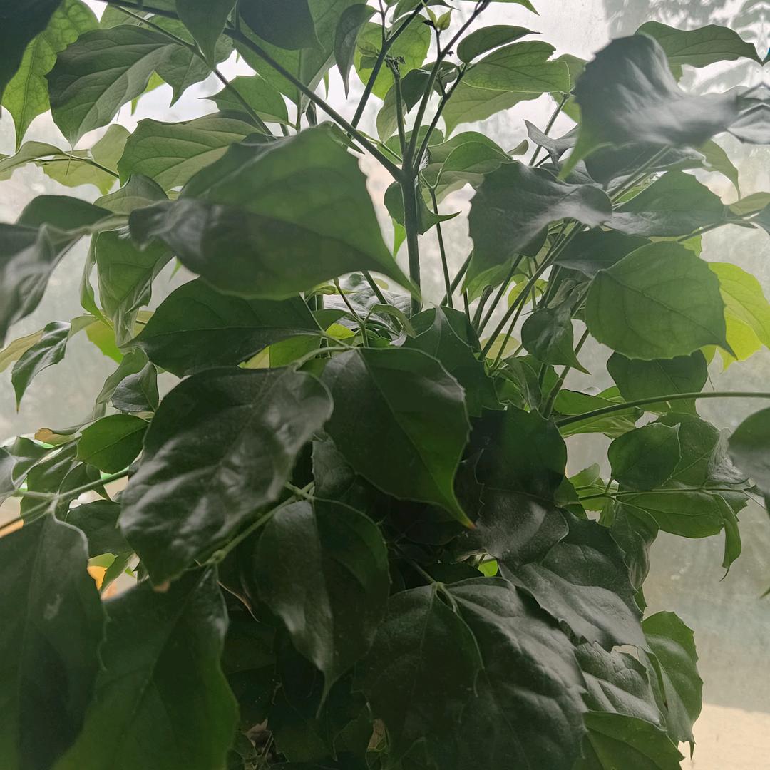时间都去哪了