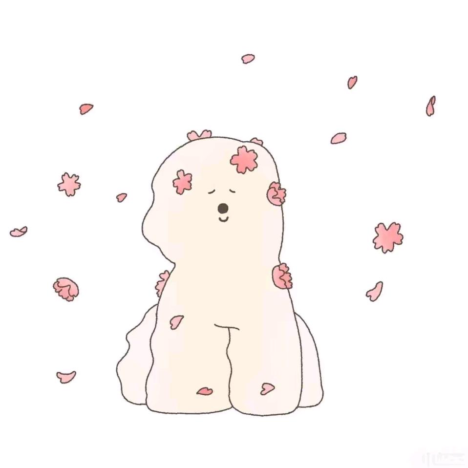 椰子🥥