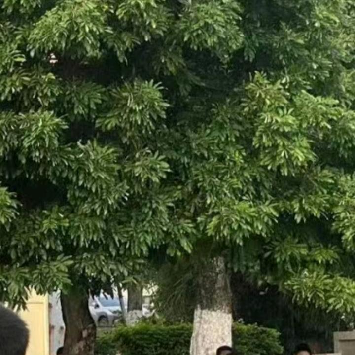 ！