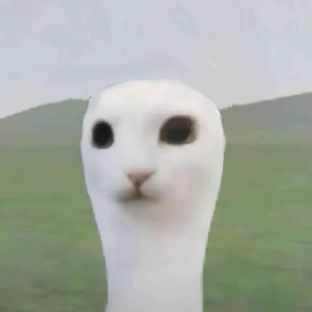 唯爱小四眼