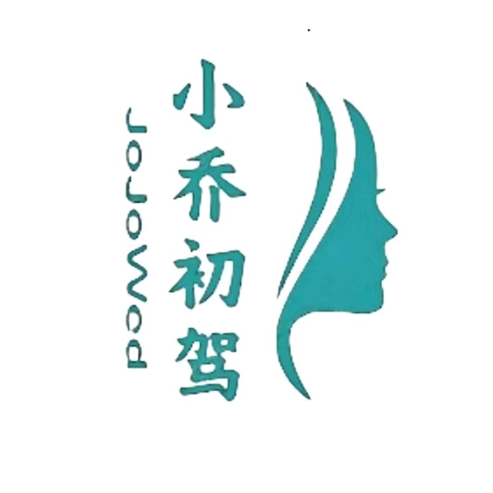 正阳小乔初驾丨女司机代驾平台