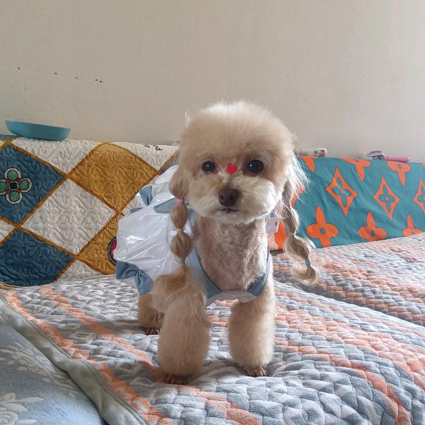 可爱丁宝（拒绝私聊）