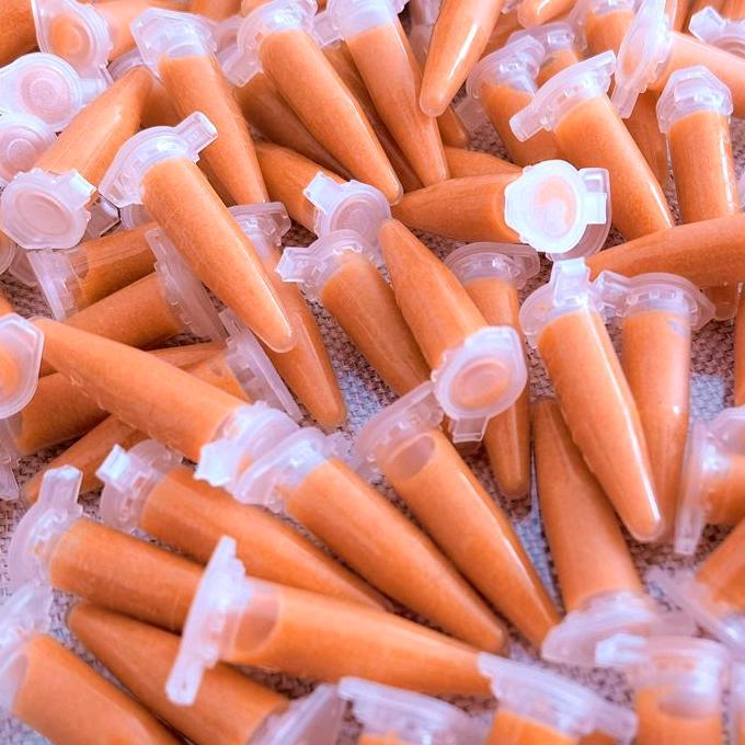 老张家的丰年虾