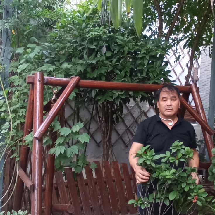 《兴平胡子》富莉小院🏠家常饭🍚