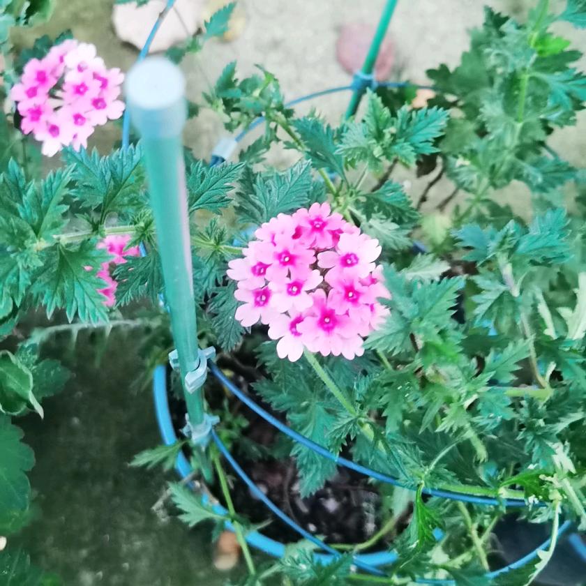 商海逆袭的沈杰头像