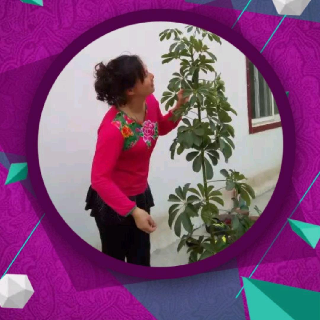 @甜橙爱💃💃跳舞💃💃