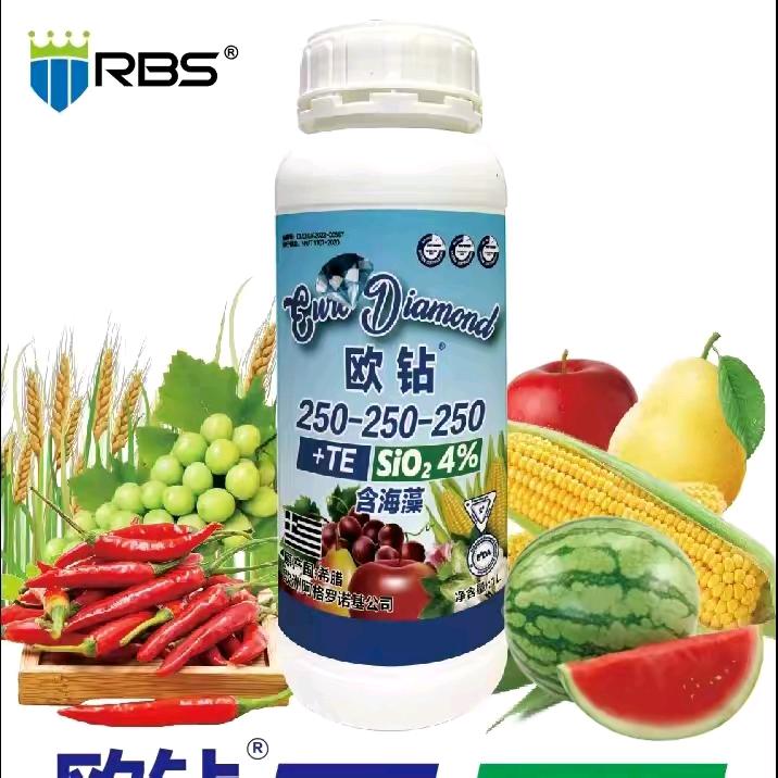 文华天下