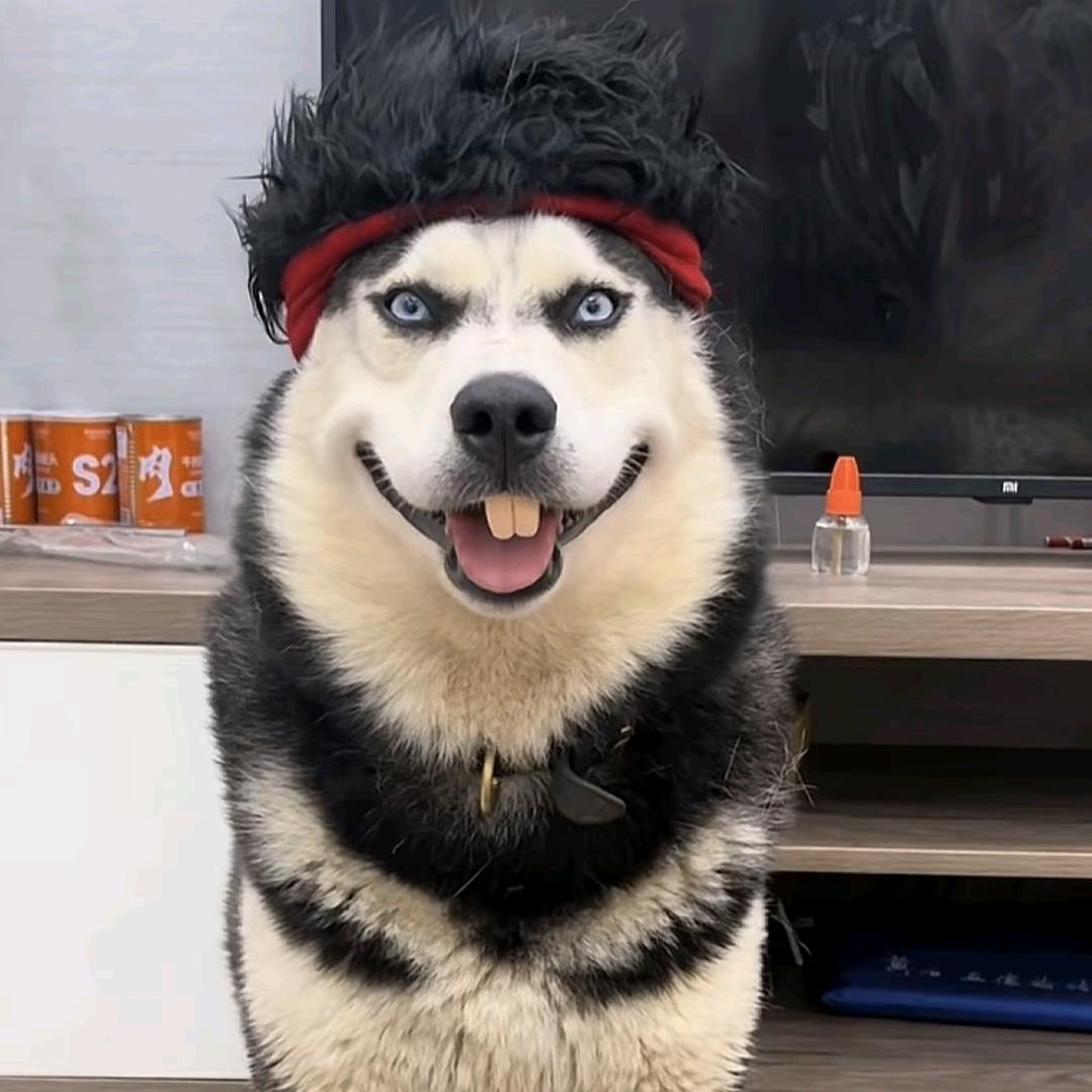 麦克啊彪