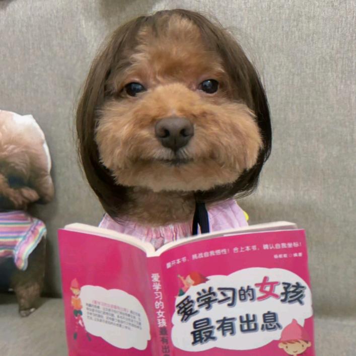 你月佥好大哦