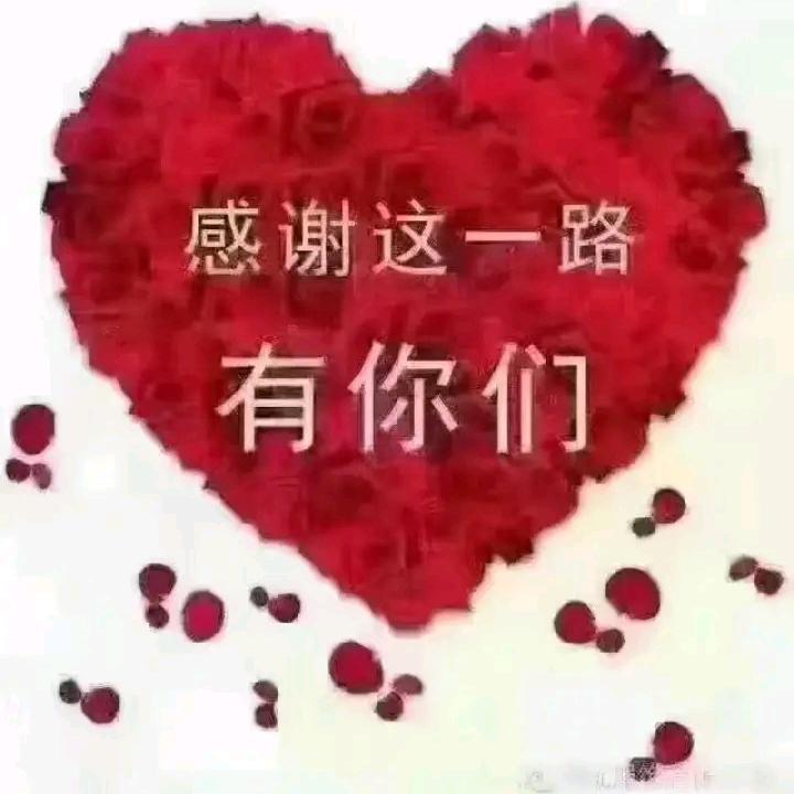 韩火火